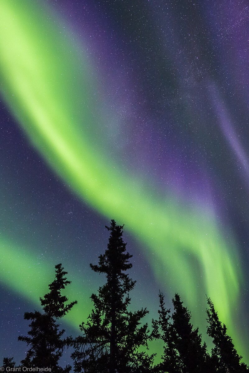 Grant Ordelheide - The northern lights over Alaska's Denali National Park