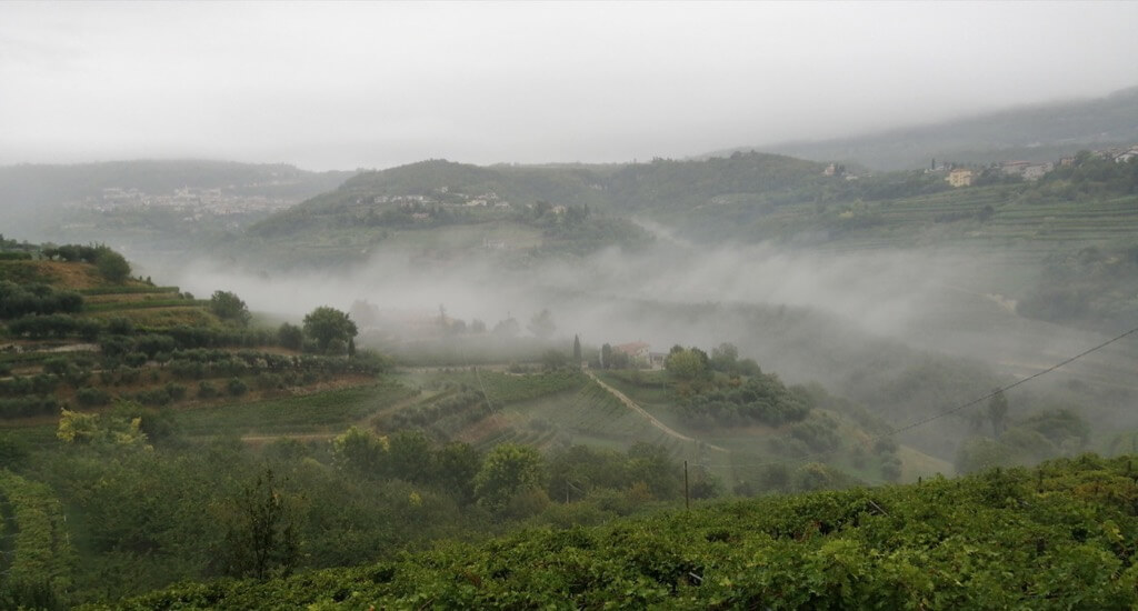 Lynne Otter - Torbe. Valpolicella. Italy