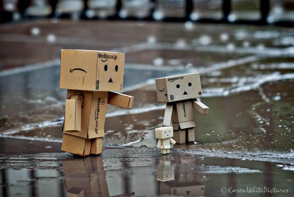 Karen White - danbo rain