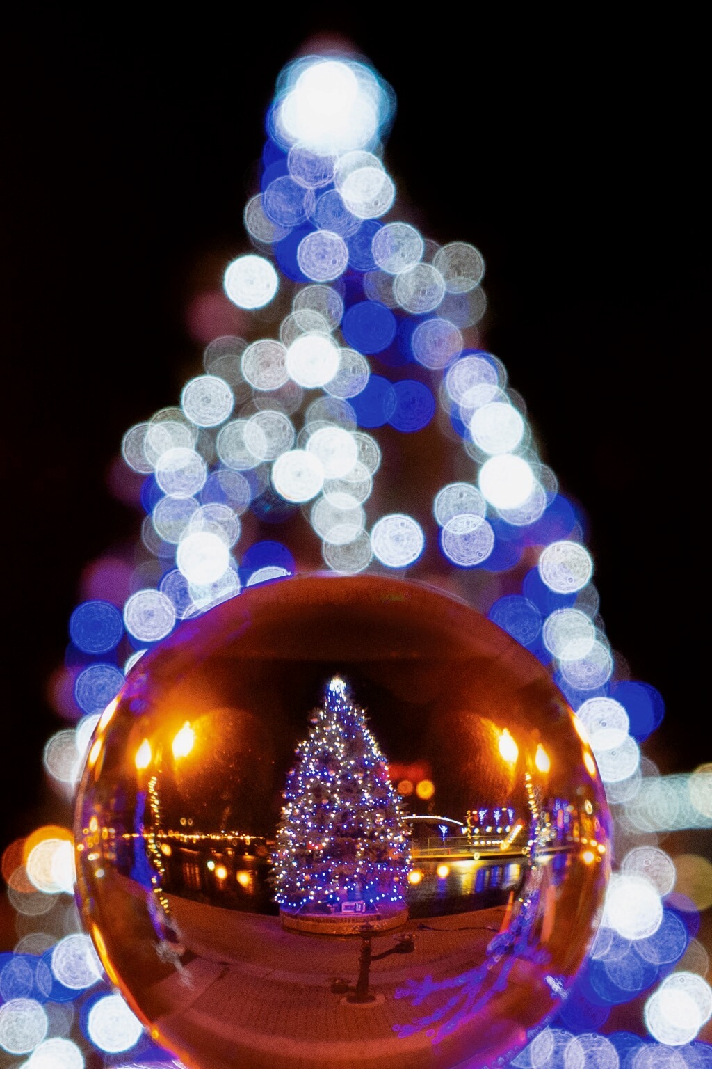 Chris Trafford - bokeh Christmas tree