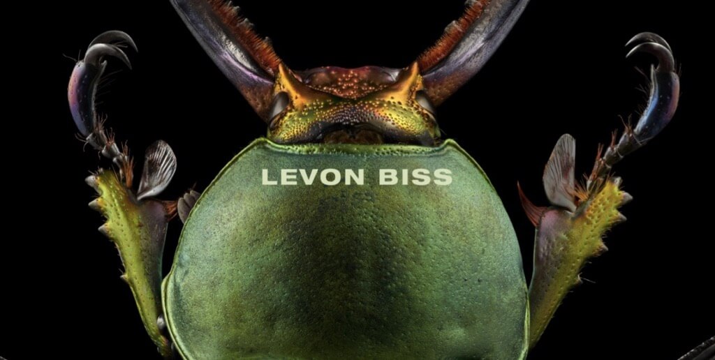 Levon Biss Website