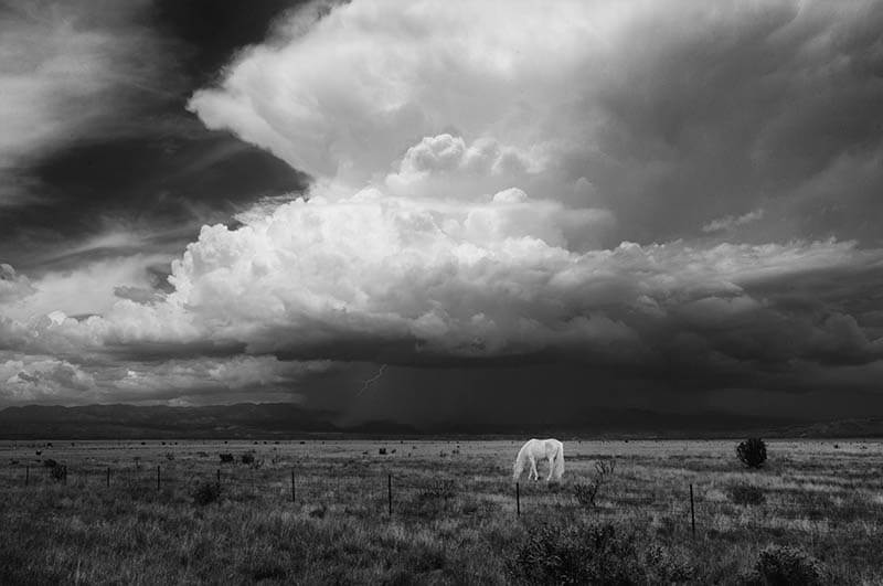 Carolyn D'Alessandro - Monsoon season, New Mexico