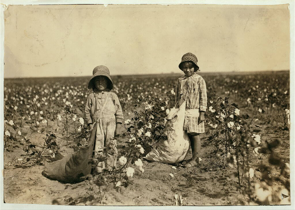 Lewis Wickes Hine - boys picking cotton