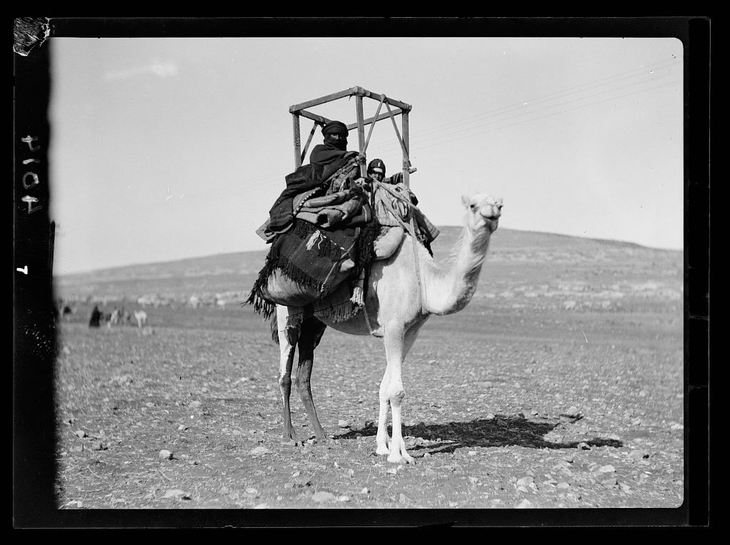 Bedouin woman and child on a camel