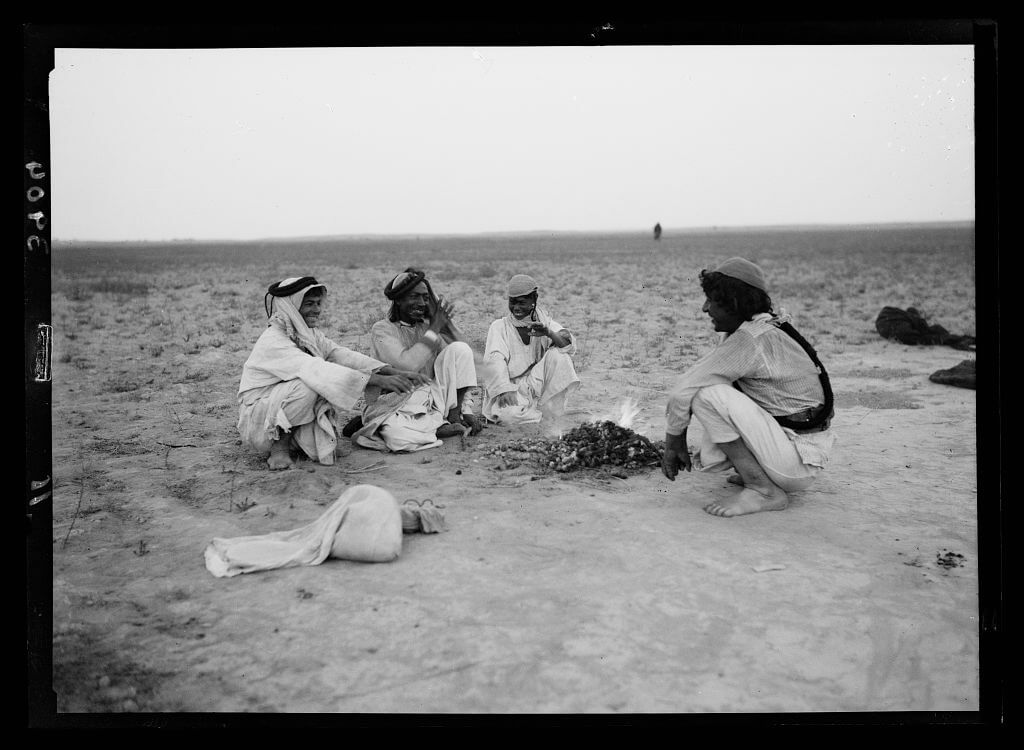 Locust plagues in Palestine