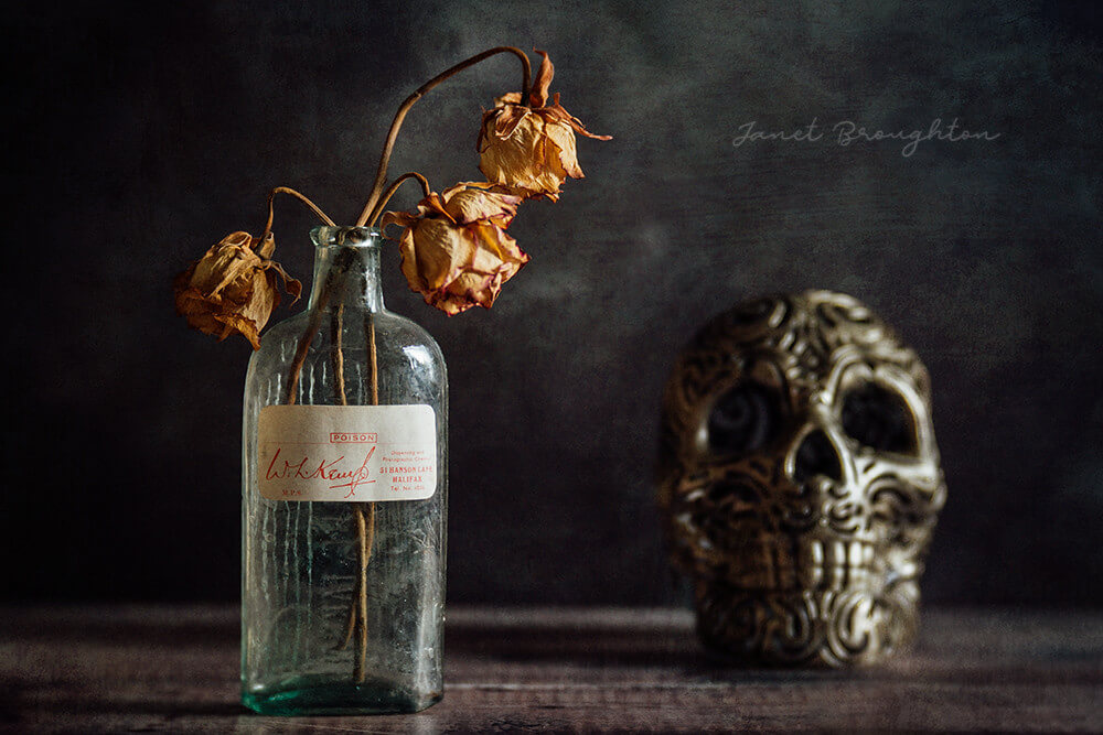 Still Life - The Skull