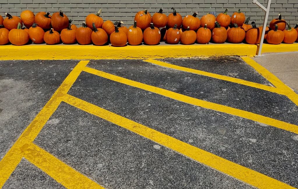 Gilbert Mercier - Halloween pumpkins lineup