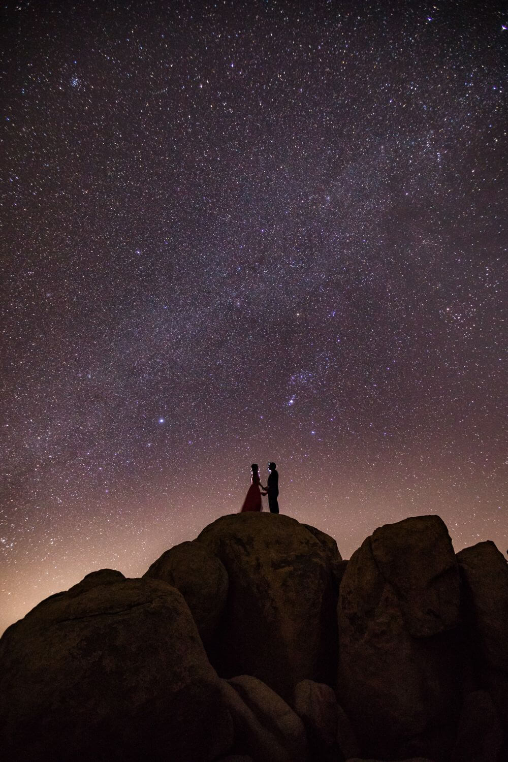 Joshua Tree Night Portrait